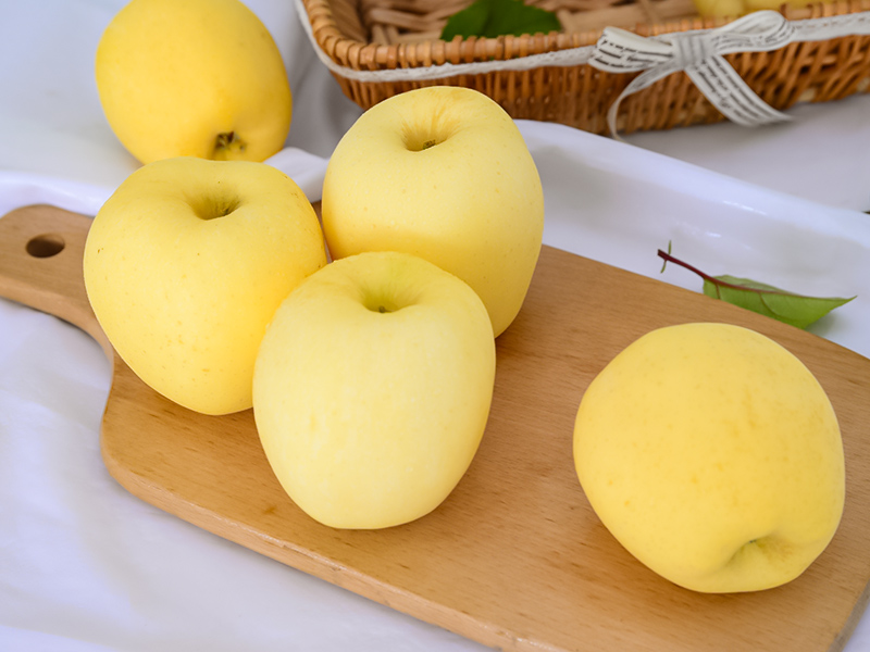 黄金维纳斯苹果品种的介绍